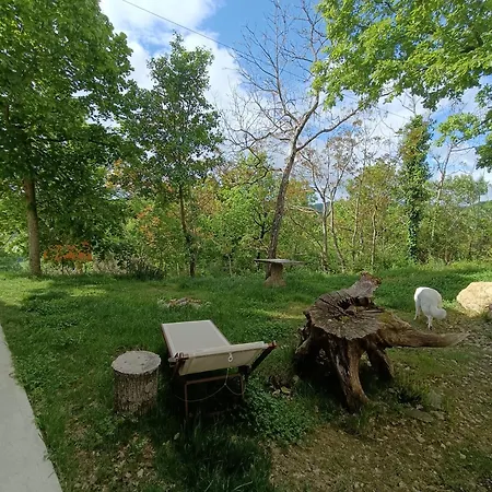 Casa Il Ghiro Bed & Breakfast *