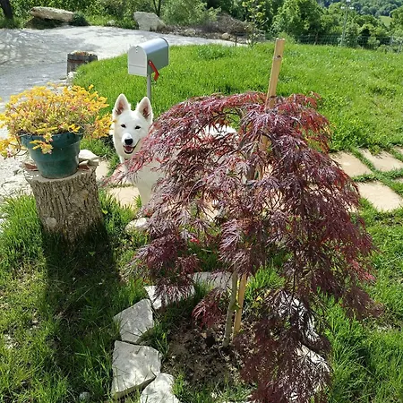 Bed & Breakfast Casa Il Ghiro *