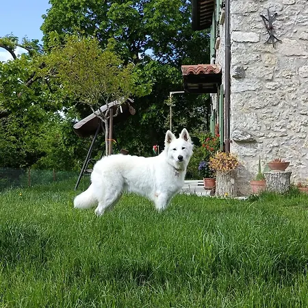 Casa Il Ghiro Bed & Breakfast Monterone