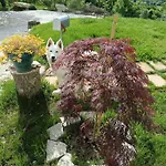 Bed & Breakfast Casa Il Ghiro 3*